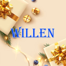 Willen_Name T-Shirt