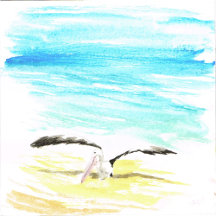 Graceful Pelicans: Custom Gifts Inspired by Nature