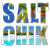 Salt Chik