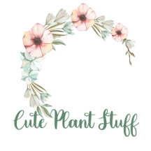 Cute Plant Stuff