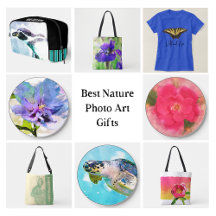 Best Nature Photo ART Gifts Ohio Photographer