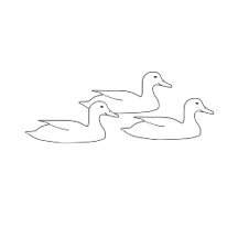 Homesteads - Small Farms