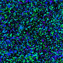 Blue Splatter Collection