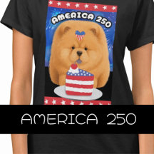 AMERICA 250 CELEBRATES