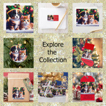 Cute puppy and cat under Christmas tree