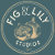 figandlilystudios