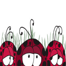 The Cute Ladybug Collection