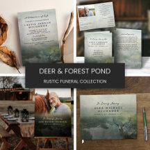 Deer By Forest Pond