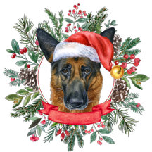 Personalized Pet Watercolor Ornaments