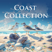 The Coastal Collection of Beach Towels for 2025