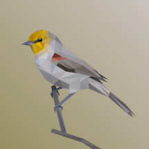 Verdin