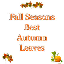 Autumn Leaves