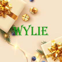 Wylie Name Shirt Wylie_collection