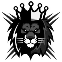 Kingland Quotidien : Élégance et Durabilité