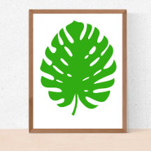 Monstera Leaf Coastal Collection