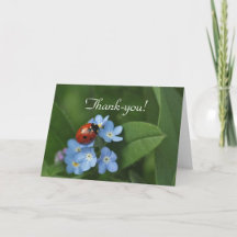 Greeting Cards/Postcards For Different Occasions