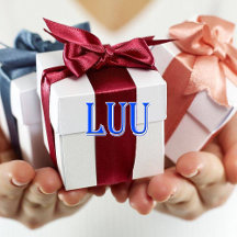 Luu_Name T-Shirt