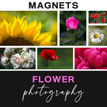 Flower Photography Magnets