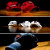 Monodoxy_Word of Mouth