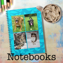 School Notebooks