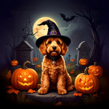 Cockapoo Dog Halloween