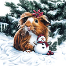 Long-Haired Guinea Pig & Snowman