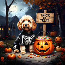 Trick Or Treat Cockapoo Halloween