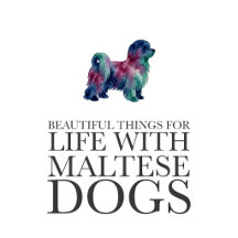 Maltese Dog Gifts & Accessories