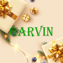 Garvin Name Shirt Garvin_collection