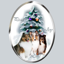 Shetland Sheepdog Christmas