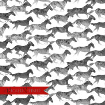 Black Watercolor Horses