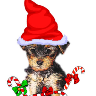 Cartão De Festividades Yorkshire Terrier Natal