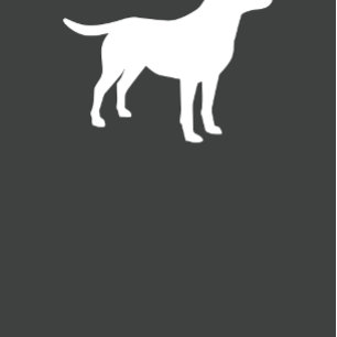 Convites Labrador Chá de fraldas Lab Neutro de Gênero