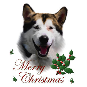 Cartão De Festividades Presentes de Natal no Alaska Malamute