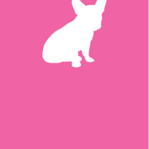 Convites Garota-Rosa Francesa Chá de fraldas-Bulgue