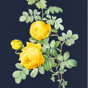 Convites Marinho e Casamento Romântico Rosa Amarelo