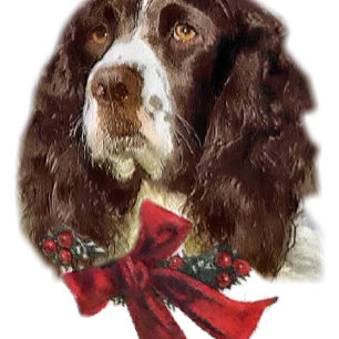Cartão De Festividades English Springer Spaniel Christmas Gifts