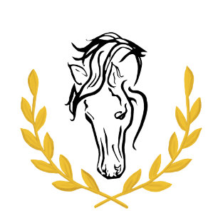 Íman Ímã de Salvar a Data Equestre Elegante