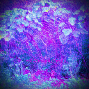 Camiseta Orb Weaver/Entre Raízes,