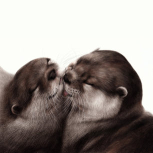 Adesivo Momento do Tender