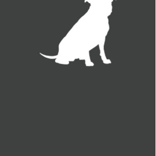 Convites Pit Bull Chá de fraldas Gênero Pitbull neutro