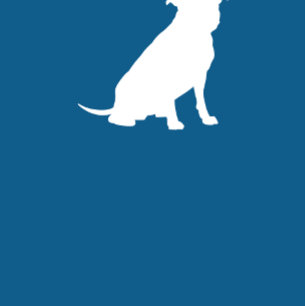 Convites Pit Bull Chá de fraldas Blue Boy Pitbull