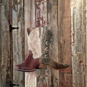 Anúncio casamento do país ocidental com arame farpado