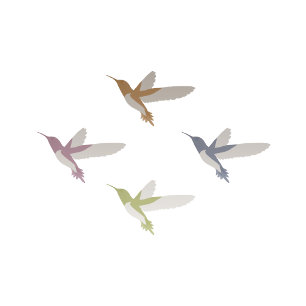 Convites Casamento Adorável de Aves Hummingbird