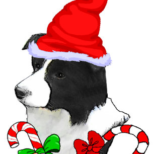 Cartão De Festividades Border Collie Christmas
