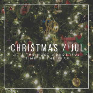 Rótulo De Garrafa De Cerveja Meu Deus! Dala Horse Wine Label