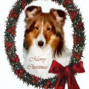 Cartão De Festividades Shetland Sheepdog Sheltie Christmas Gifts