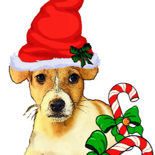 Cartão De Festividades Jack Russell Terrier Natal