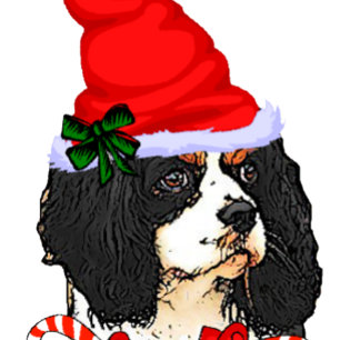 Cartão De Festividades Cavalier King Charles Spaniel Natal