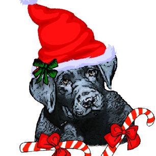 Cartão De Festividades Cute Labrador Retriever Christmas